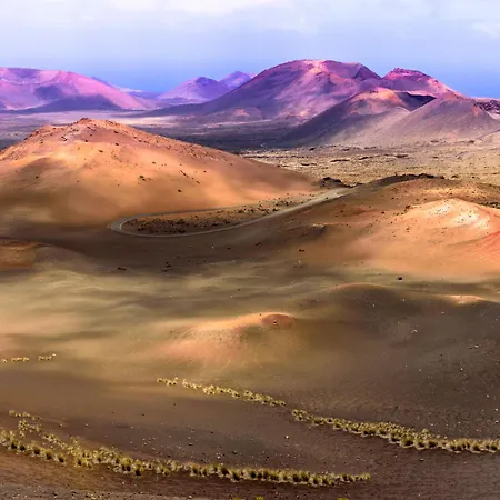 Sunset&suite Mimosas