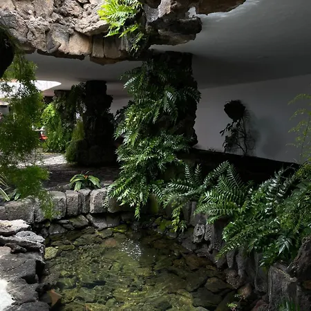 Sunset&suite Mimosas *